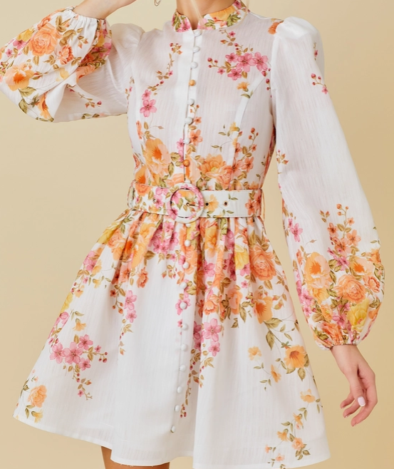 Floral Print Mini Dress - Floral Multi