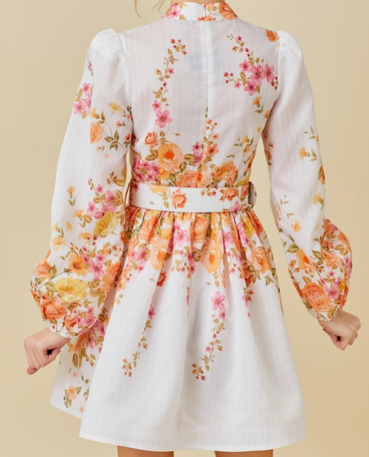 Floral Print Mini Dress - Floral Multi